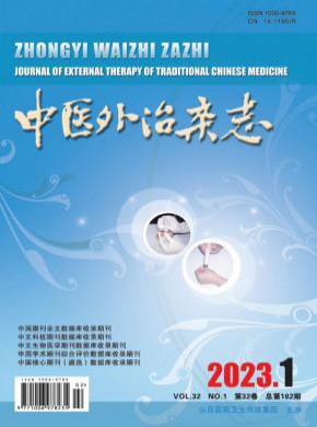 中医外治期刊